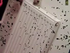Tetas grandes xxx 23 yo morena con enormes tetas pillado por cam de espía en el baño