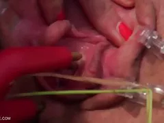 Coño las mejores desnudas prod - queensnake.com - queensect.com