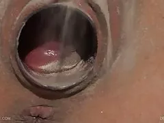 Videos colonas queensnake.com - corazón desierto 1