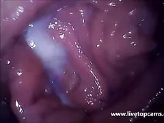 Orgasmo www petardas de chica cam Livetopcams.com filmado desde dentro de la vagina