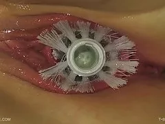 Putaz xxx t-cepillo - jade - queensnake.com - queensect.com