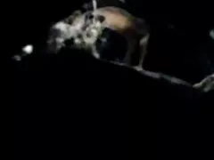 No hay noche de baño tetona Usha