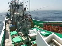 Pesca tour en barco sexo 3-por packmans