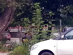 Caliente que empina el codo 4