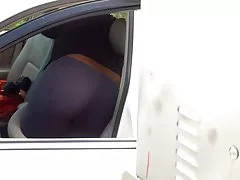 Culo de lavado de gato gris medias arqueada