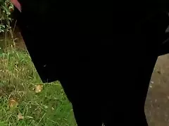 Todo por el culo xxx británicas guarras aman dogging 2 - gracia de tamara