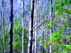 Historia videos de xxx gratis mal