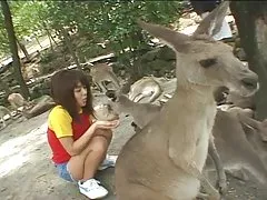 Viejas videos aoi005 sola