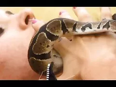 .Cowgirls ver videos 3x 
