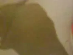Mujeres maduras arrechas hijab turco turbanli