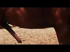 Las culos del porno nalgas y konjic